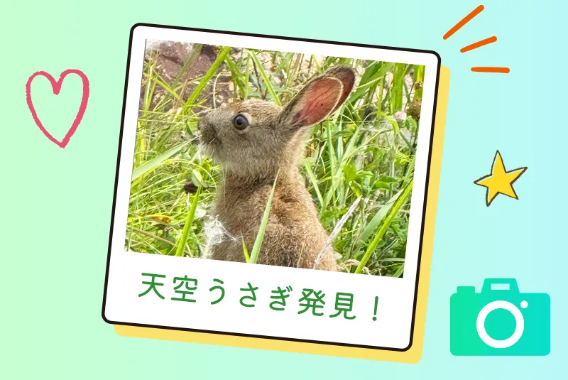 天空うさぎ