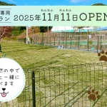 グランドーム神戸天空のドッグラン