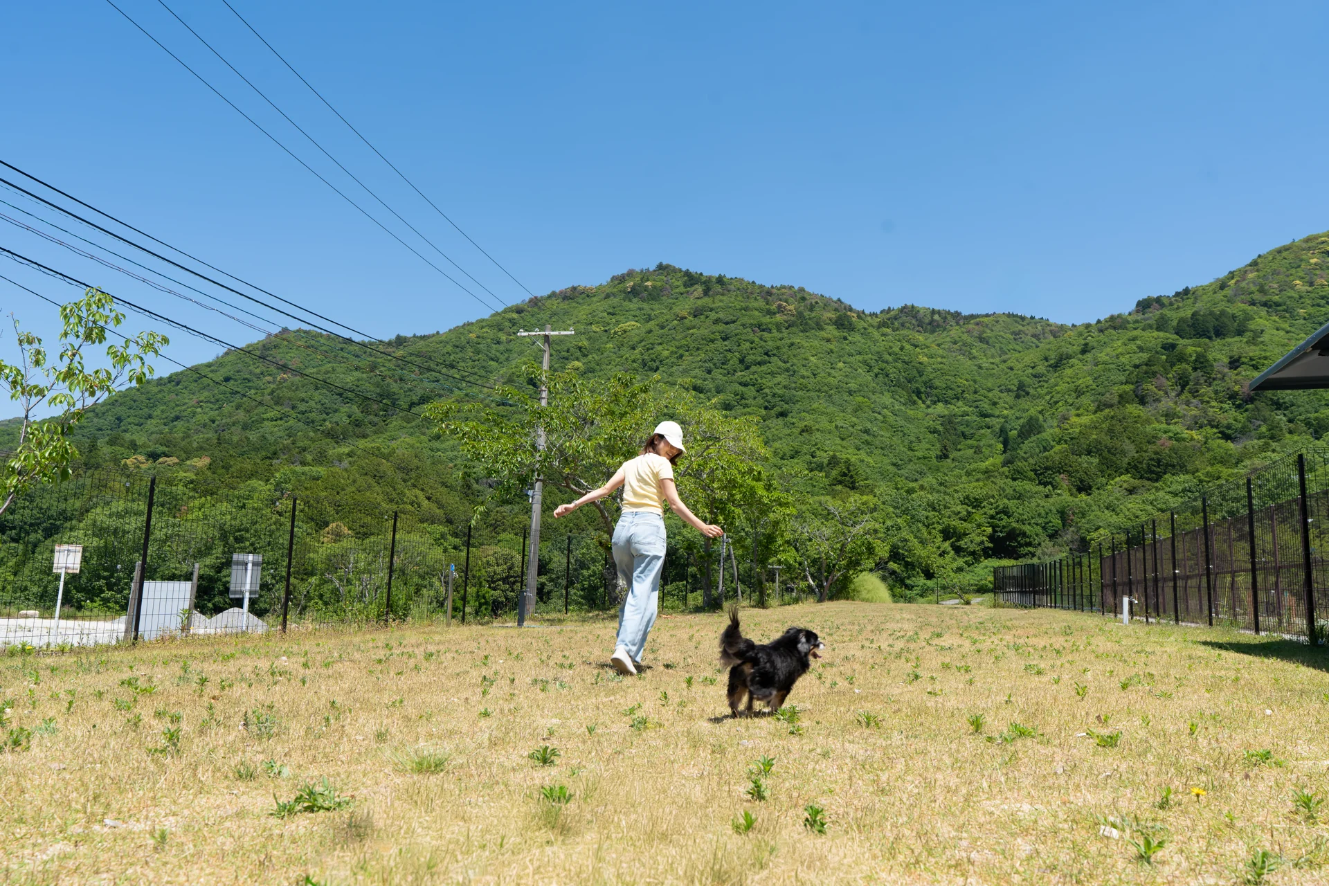 山々に囲まれた天然芝ドッグランで愛犬と遊ぶ飼い主