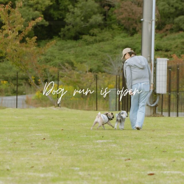 平素はグランドーム神戸天空をご愛顧いただき、誠にありがとうございます。
この度、お客様と愛犬に、より快適で楽しいひとときをお過ごしいただくため、2025年11月11日(火)より、宿泊者様専用のドッグランを新たにオープンする運びとなりました。
豊かな自然に囲まれた当施設で、愛犬が思いっきり走り回れる特別な空間をお楽しみください。

【施設概要】

・オープン日：2025年11月11日（火）
・利用対象：当施設にご宿泊のお客様（無料）
・利用時間：9:00～11:00 / 14:00～20:00

【ドッグランの特徴】

1.  一面の天然芝
  わんちゃんの足腰に優しい、天然芝を敷き詰めた空間です。
2. 安心のフェンス囲い
  四方をフェンスで囲っているため、安心してリードを外し、のびのびと遊ばせることができます。
3.  広々とした敷地
  縦に長く広々とした敷地で、愛犬が思いっきり走り回るのに最適です。

---

 ■ ご利用のルールとお願い

皆様に安全・快適にご利用いただくため、以下のルールをお守りください。
本ルールは「わんちゃん同意書」にも追記されます。

① ドッグラン内の状況（他の犬や人の有無）をよく確認した上でご入場ください。入場後すぐにリードを外さず、愛犬が興奮しすぎていないかを確認したうえでリードフリーとし、愛犬の行動を常に監視してください。
② わんちゃん同士の追突事故などに繋gわないよう、ご自身の愛犬だけでなく、他の犬の行動にもご注意ください。
③ 万一、犬同士の喧w嘩が発生した場合には、飼い主様はご自身の安全に注意したうえで対処してください。また、他の犬の飼い主様は、ご自身の愛犬が喧嘩に参加しないようコントロールするなど、喧嘩の鎮静化にご協力ください。
④ 排泄物の処理は速やかにお願いします。
　排泄物は備え付けのペット専用ゴミ箱に捨ててください。排尿や、排便を取り除いた後は、備え付けの水で流していただきますようお願いします。
⑤ その他、常識的な節度ある行動を心掛け、飼い主様同士でマナーの向上にご協力ください。

■ 重要事項・免責

本ドッグランのご利用は、お客様の自己責任においてお願いいたします。
・場内での事故・怪我等について、飼い主様の自己責任とさせていただきます。愛犬、飼い主様同士のトラブルが発生した場合も当事者間で解決してください。グランドーム神戸天空は一切関与いたしません。
・ドッグラン以外の敷地内（客室、共有スペース等）では、必ずリードをつけ、愛犬から目を離さないようにご注意ください。他の犬やエリア利用者の迷惑とならないよう、ご配慮をお願いします。

■ 今後の設備について

ドッグラン内の水道設備（足洗い場など）につきましては、今後順次工事を進めてまいります。
皆様により快適にご利用いただけるよう努めてまいりますので、何卒ご理解いただけますと幸いです。

---

皆様と大切な愛犬のお越しを、心よりお待ちしております。
詳しくはプロフィールリンク🔗よりHPへ

#神戸天空リゾート
#グランドーム神戸天空
#銀河の湯
#神戸天空
#glampdome
#glampdomekobetenku
#glampdome_kobetenku
#glampdome神戸天空
#グランドーム神戸天空スパスイート
#グランピング
#サウナ
#サ活
#温泉
#天然温泉
#sauna
#glamping
#関西旅行
#兵庫旅行
#神戸旅行
#グランピング女子会
#手ぶらbbq
#犬同伴
#犬同伴可
#犬と泊まれる宿
#犬とお出かけ
#テントサウナ
#バレルサウナ
#温泉付きグランピング
#焚き火
#自然